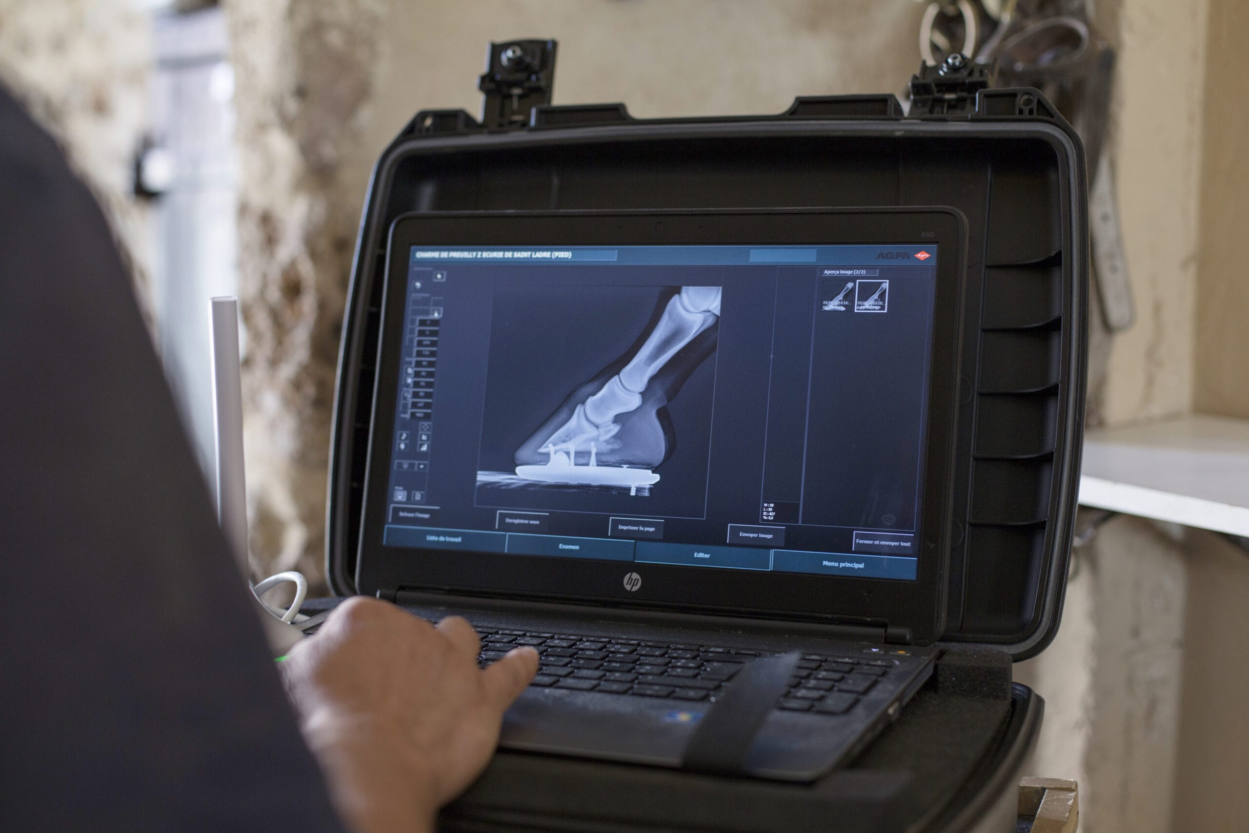 Agfa DR DuMed Equine X-Ray